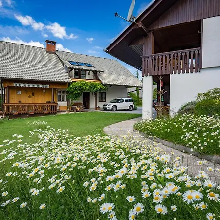 Apartma Biofit Bled Exterior photo