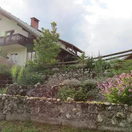 Apartma Biofit Bled Exterior photo
