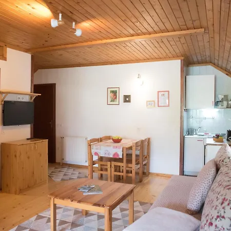 Apartma Biofit Bled Room photo