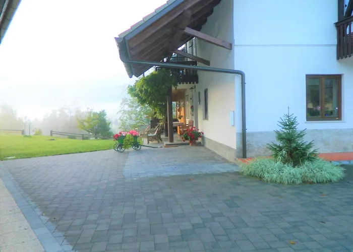 Apartma Biofit Bled