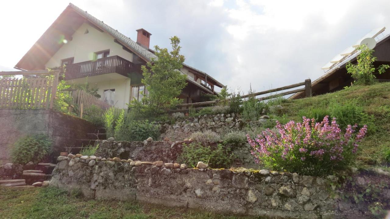 Apartma Biofit * Bled