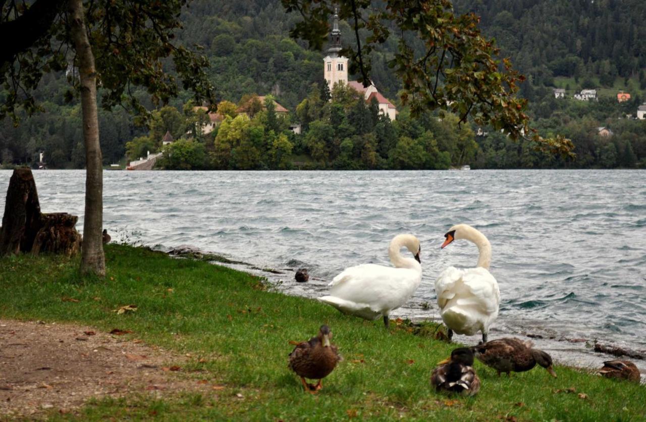 Apartma Biofit Appartement *