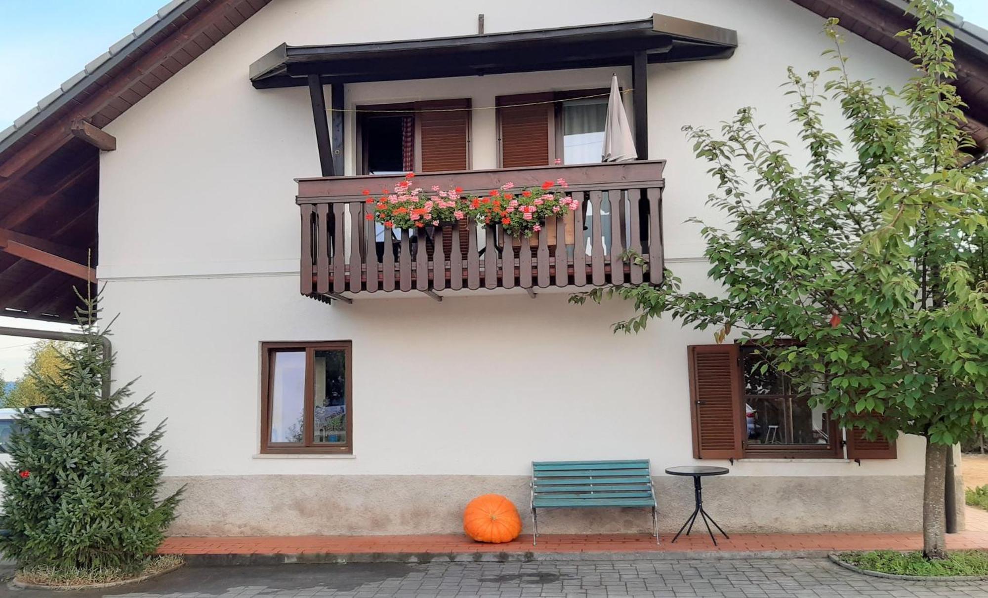 Appartement Apartma Biofit